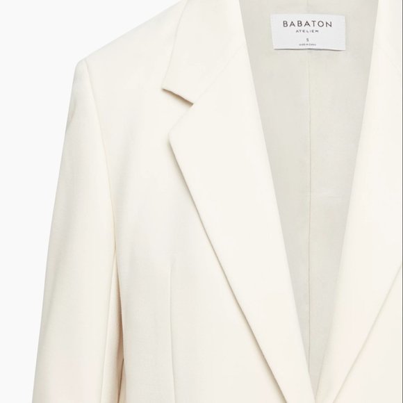 New Agency Blazer - Babaton, Aritzia - BIRCH - NWT - Picture 2 of 6